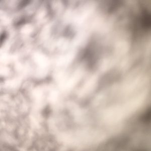 Meet your Posher, Erick